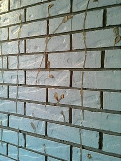 Construction glue on brick